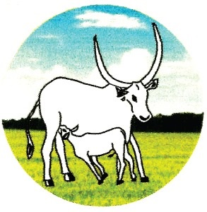 File:Emblem of Jonglei State.png