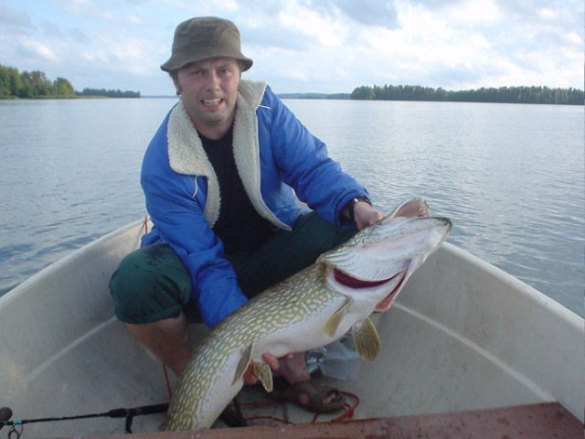 File:Esox Lucius-1.jpg