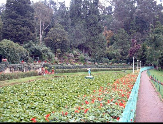 File:Government Botanical Gardens, Udagamandalam.jpg