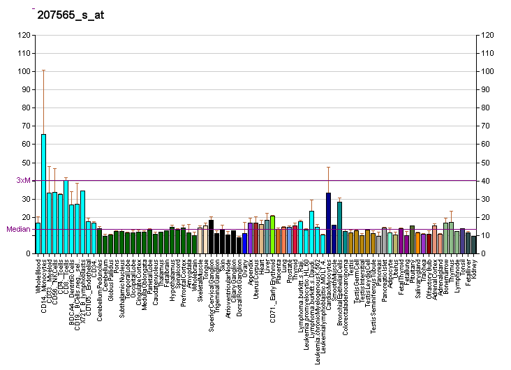 File:PBB GE MR1 207565 s at fs.png