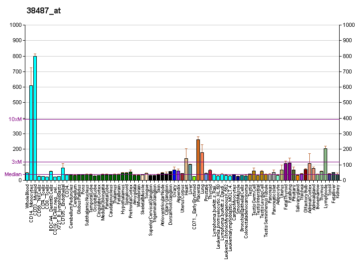 File:PBB GE STAB1 38487 at fs.png