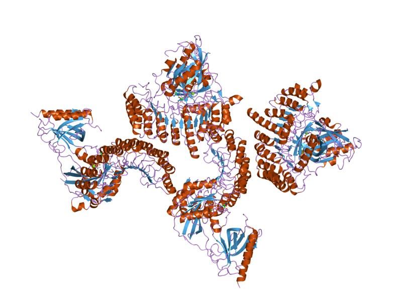 File:PDB 1k5g EBI.jpg