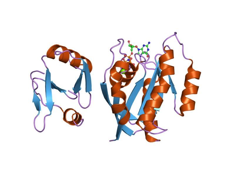 File:PDB 1k8r EBI.jpg