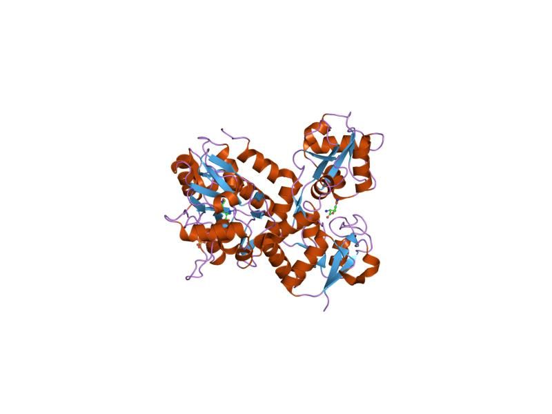 File:PDB 1p1u EBI.jpg