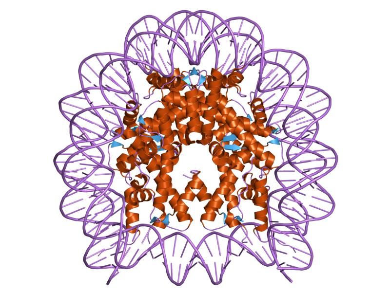 File:PDB 1p34 EBI.jpg