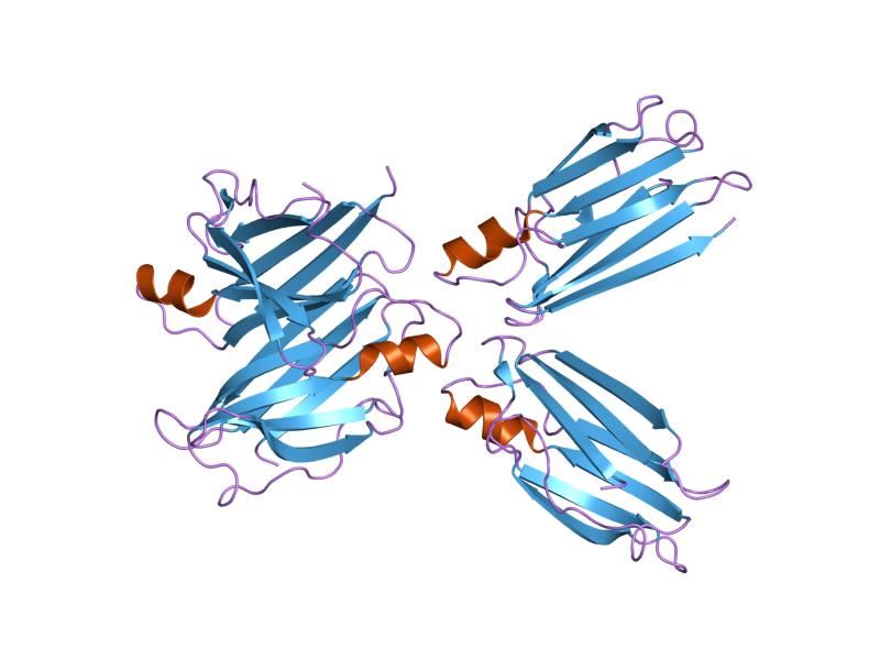 File:PDB 1soq EBI.jpg