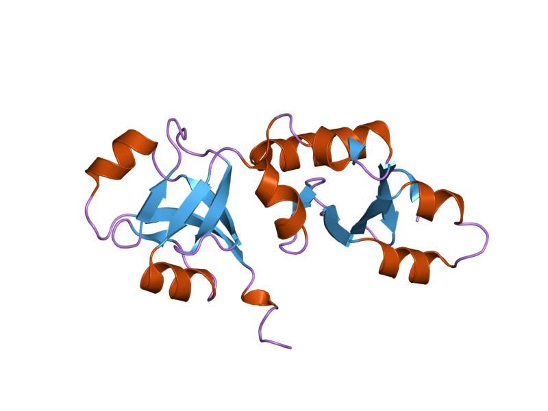 File:PDB 1sqw EBI.jpg