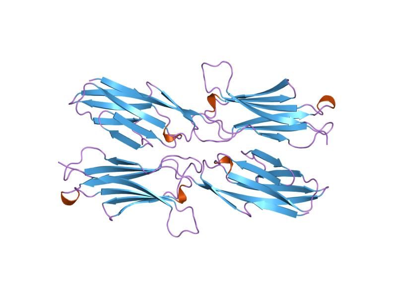 File:PDB 1vsc EBI.jpg