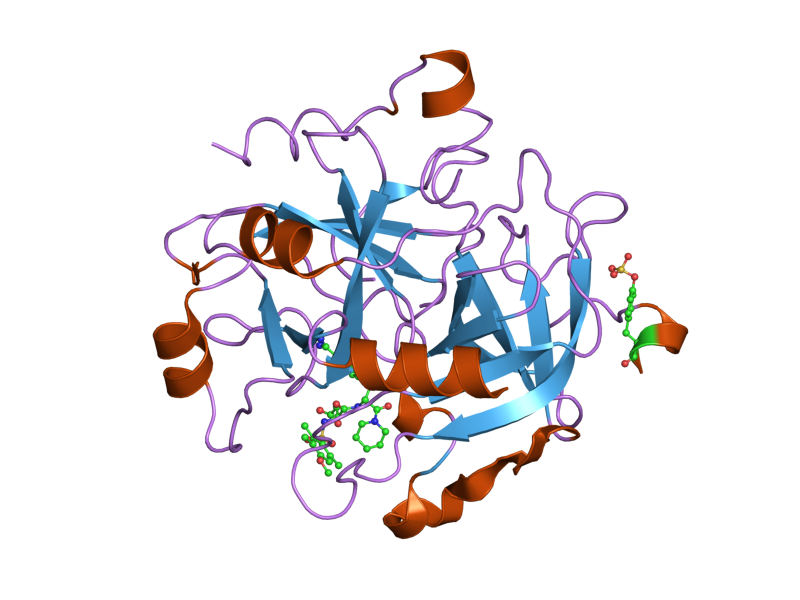 File:PDB 1ypk EBI.png