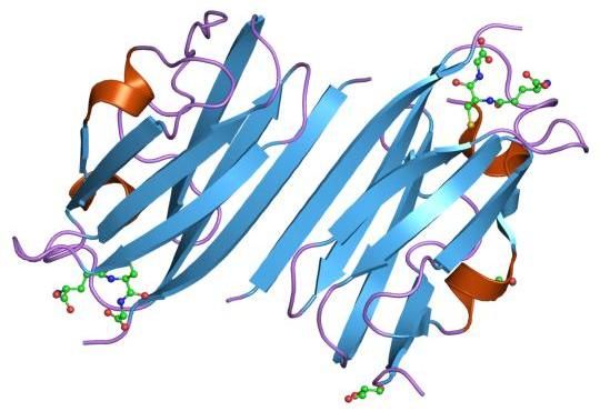 File:PDB 2brq EBI.jpg