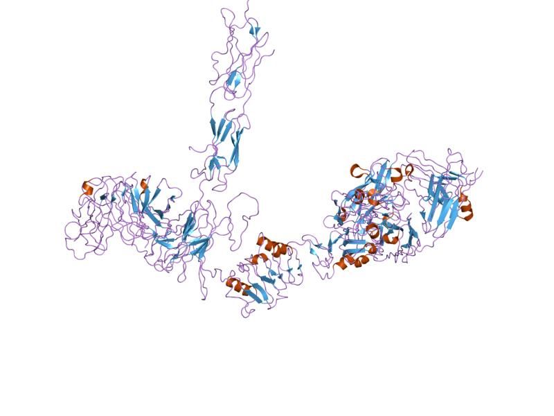 File:PDB 2dtg EBI.jpg