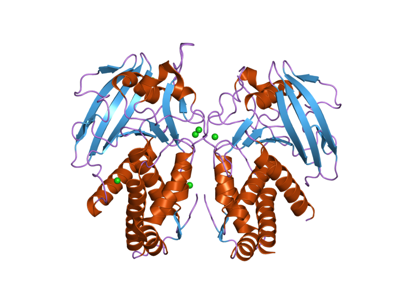 File:PDB 2gjt EBI.png