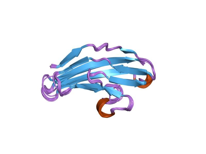 File:PDB 3ncm EBI.jpg