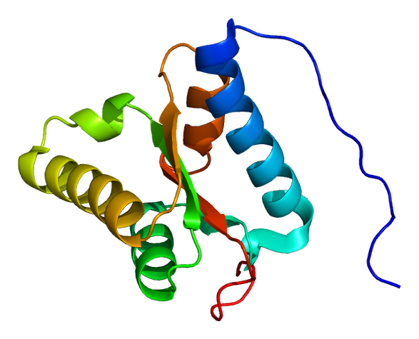 File:Protein PELO PDB 1x52.png