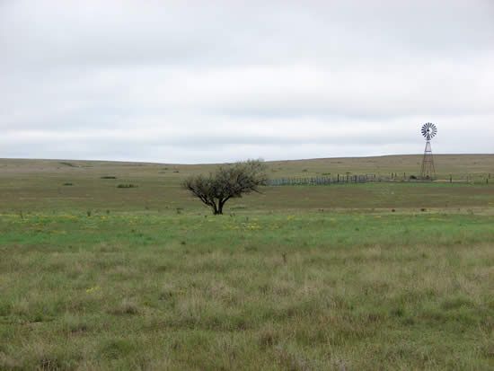 File:Rita Blanca National Grassland.jpg