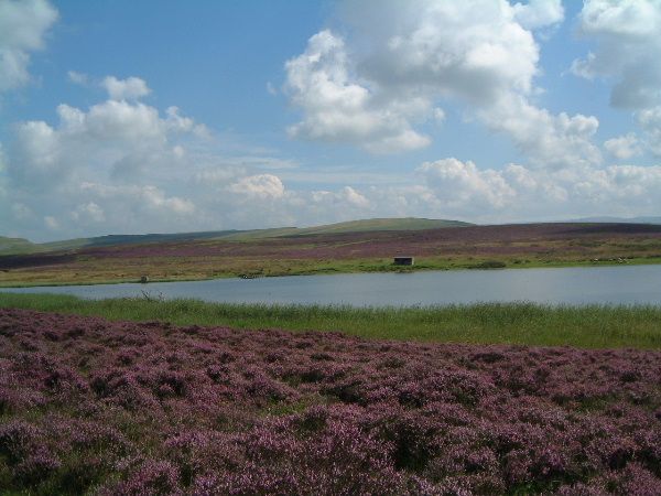 File:Sunbiggin Tarn - geograph.org.uk - 17743.jpg