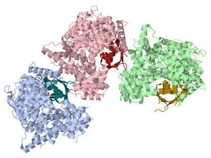 File:1H6K.pdb.jpg