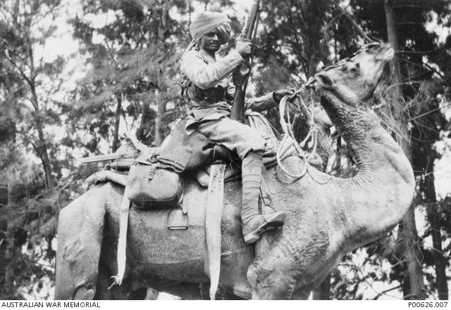 File:Indian Cameleer on Camel 1915.jpg