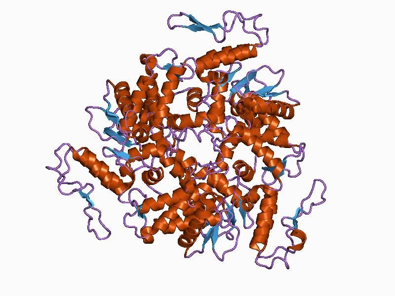 File:PDB 1d5f EBI.jpg