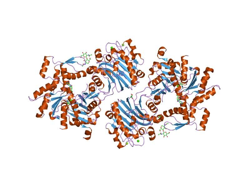 File:PDB 2a40 EBI.jpg