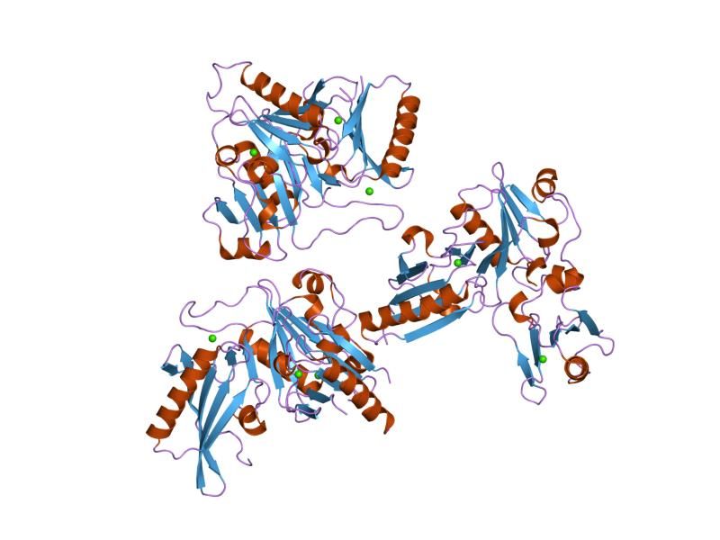 File:PDB 2fh3 EBI.jpg