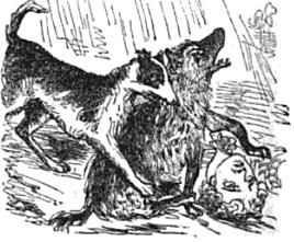 File:Hyena attack (1842 woodcut).jpg