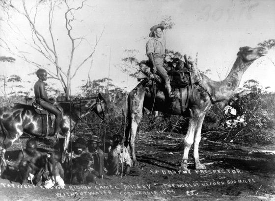 File:Misery Coolgardie.jpg