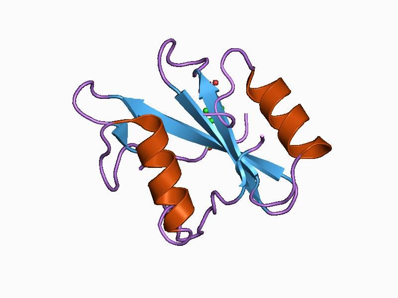 File:PDB 1ayc EBI.jpg