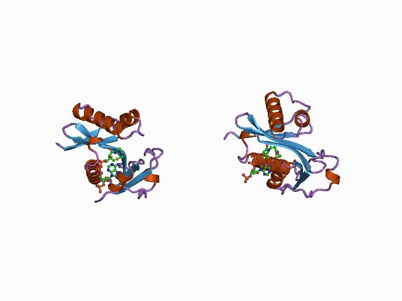 File:PDB 1cm0 EBI.jpg