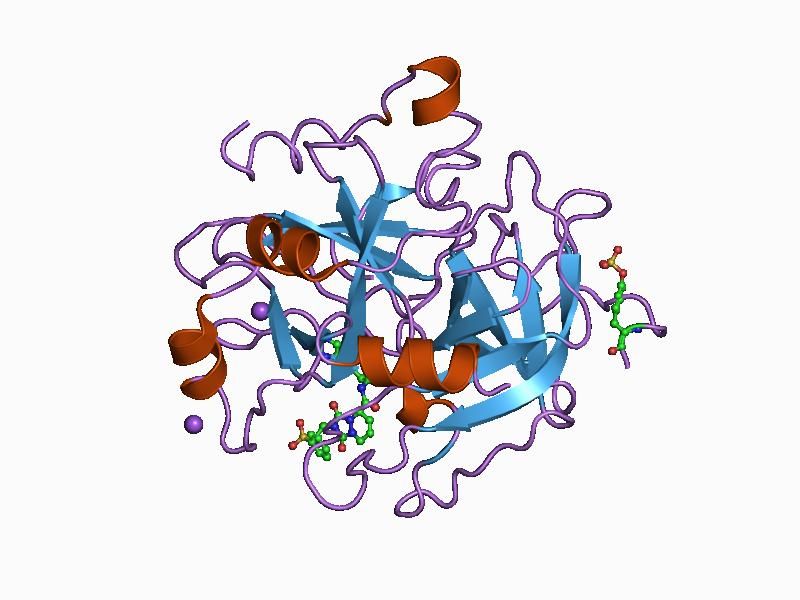 File:PDB 1d6w EBI.jpg