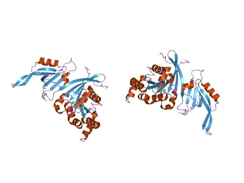 File:PDB 1nf3 EBI.jpg