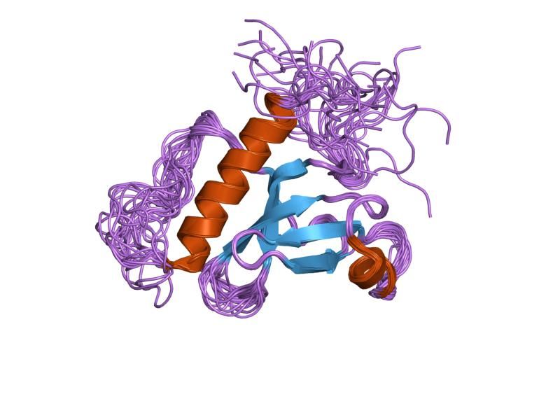 File:PDB 2daq EBI.jpg