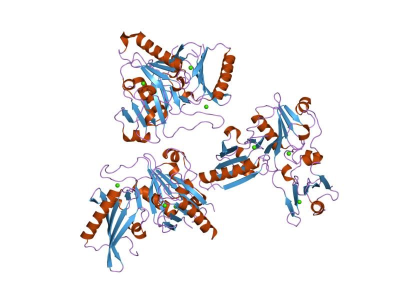 File:PDB 2fh1 EBI.jpg