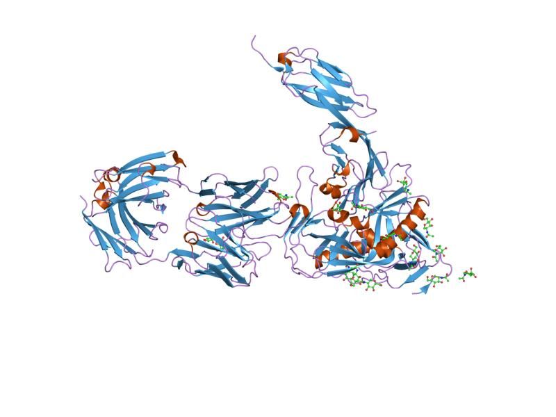 File:PDB 2ny3 EBI.jpg