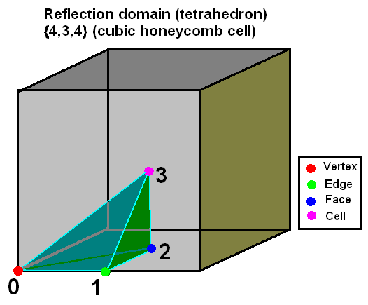 File:Polychoron tetrahedral domain.png