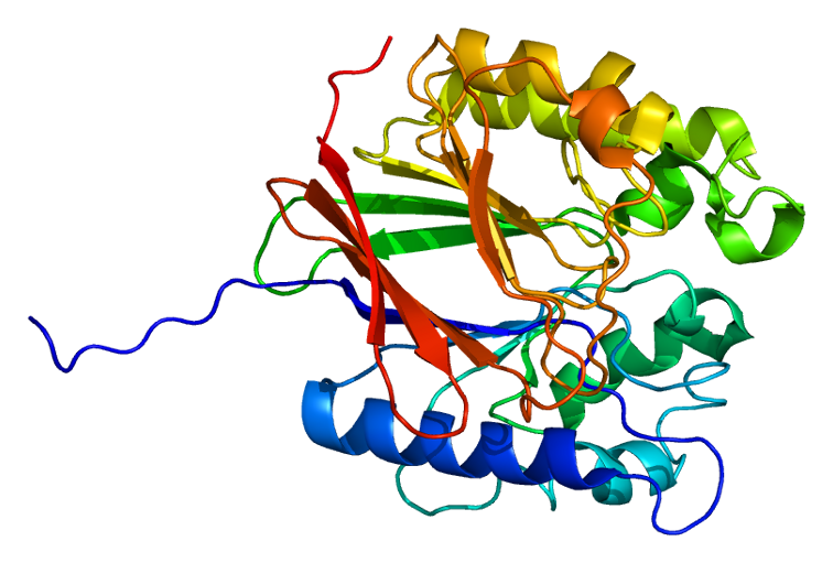 File:Protein ACP5 PDB 1war.png