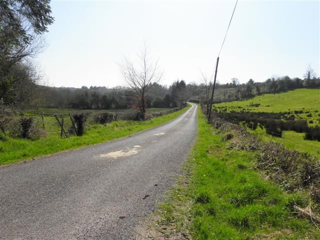 File:Road at Killygorman (geograph 2870386).jpg