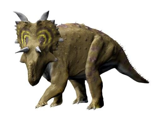 File:Xenoceratops NT small.jpg