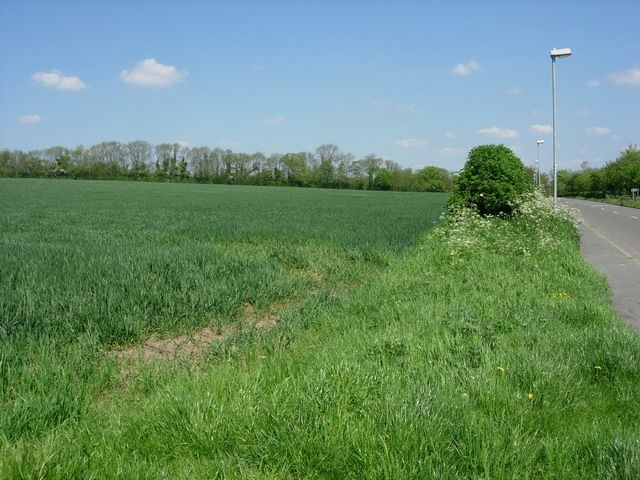 File:Arable field - geograph.org.uk - 793675.jpg