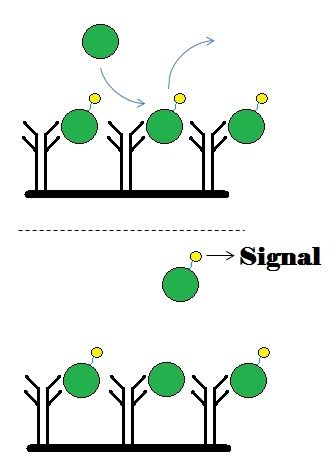 File:Competitive homogeneous immunoassay.jpg