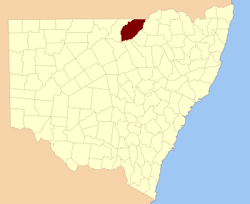 File:Finch NSW.PNG