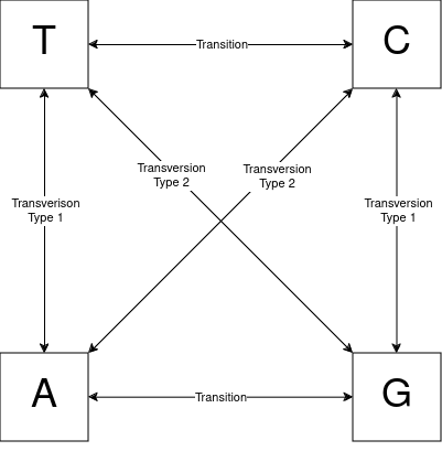 File:Kimura three parameter substitution model.png