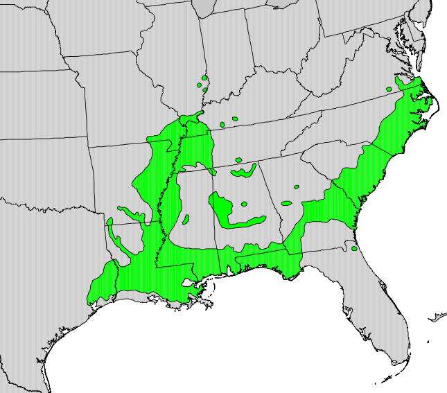 File:Nyssa aquatica map.png