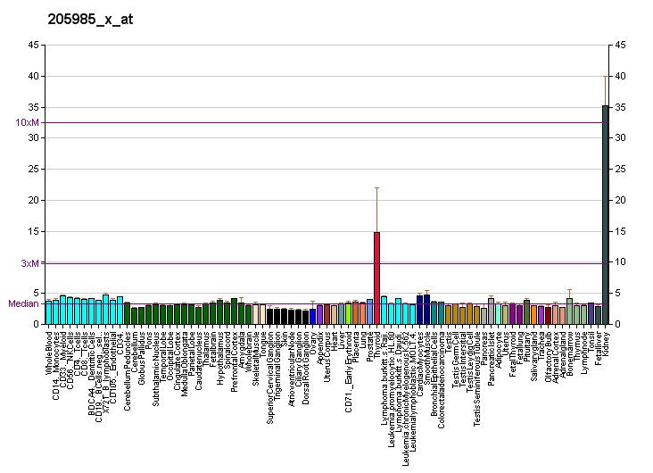 File:PBB GE CLCNKB 205985 x at fs.png