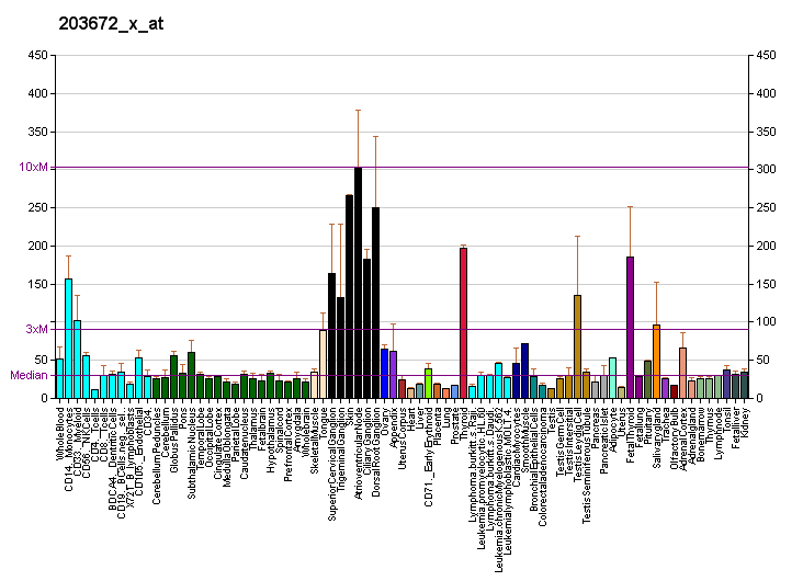 File:PBB GE TPMT 203672 x at fs.png