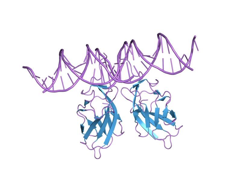 File:PDB 1hjc EBI.jpg