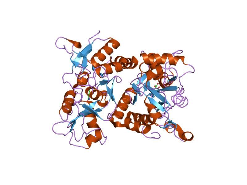 File:PDB 1lb8 EBI.jpg