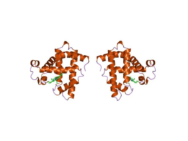 File:PDB 1mdn EBI.jpg