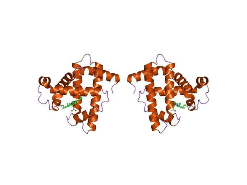 File:PDB 1mni EBI.jpg