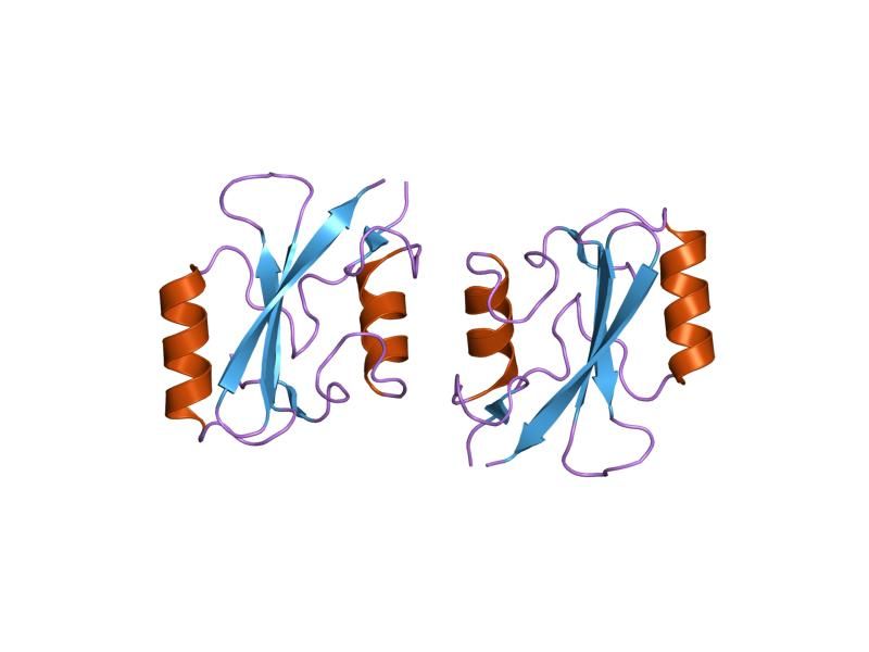 File:PDB 1nrv EBI.jpg